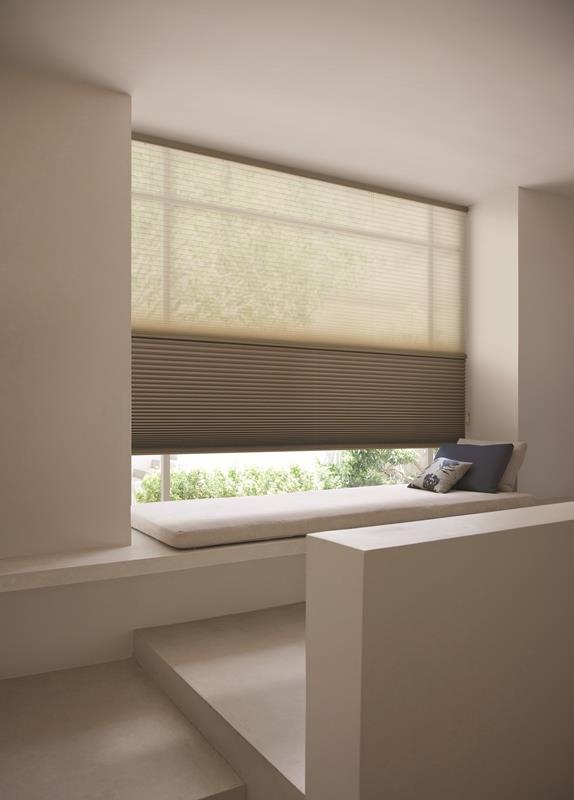 Arena Day Night Honeycomb Blind