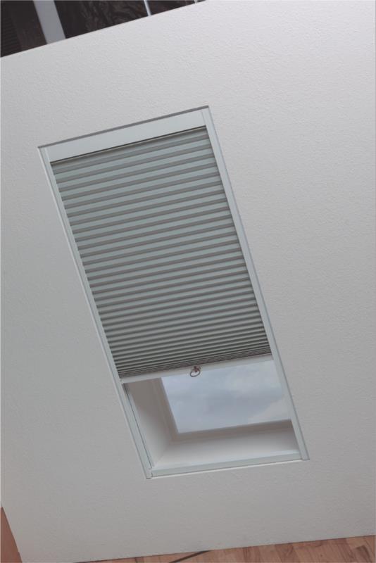 Arena Honeycomb Skylight