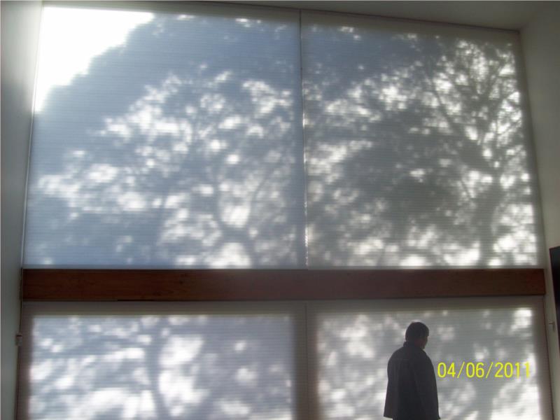 View light filter honeycombs gum tree reflection Taroona Tasmania