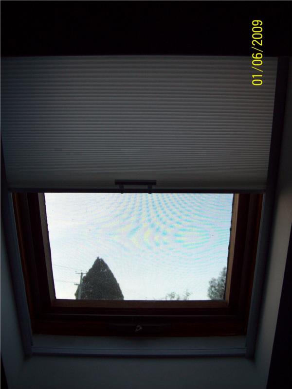 Arena skylight honeycomb partly open