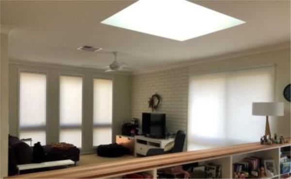 Blaxland, NSW - 20mm Portrait Light Filtering