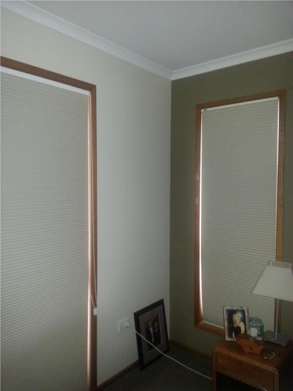 Budget blockout easyrise Mountain River Tasmania