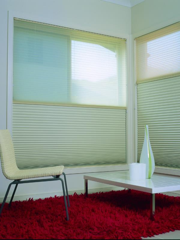 Day night cordlock honeycomb blinds