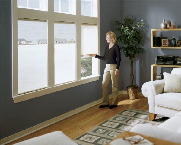 Cordless TDBU honeycombs in Alto