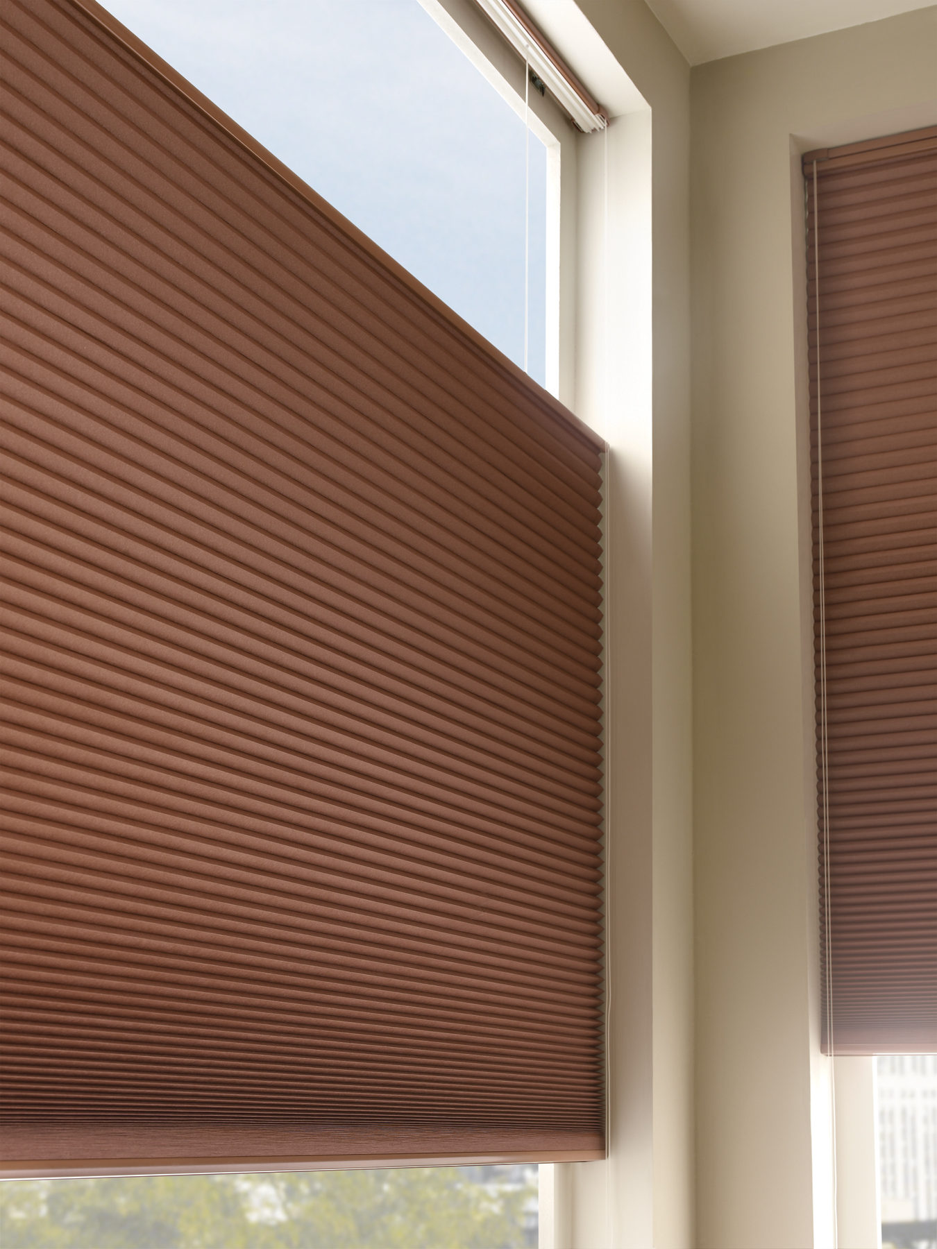 Cordlock TDBU honeycomb blinds