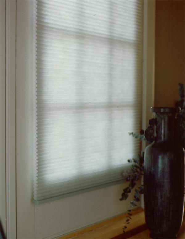 Double cell light filtering cordless honeycomb blind on door