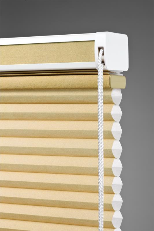 Double cell TOP down Bottom Up continuous looped cord blind