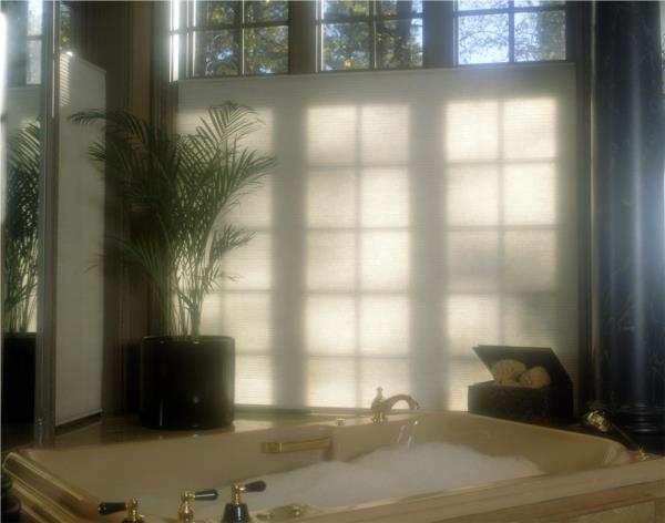 Honeycomb blind in bathroom- total privacy