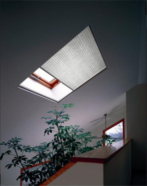 Single cell light filtering skylight honeycomb blind
