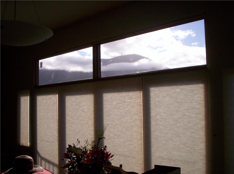 View Light filter pongee bottom blinds closed top blinds open