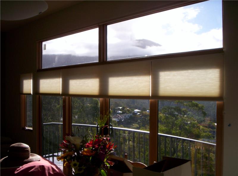 View honeycomb blinds in pongee half open