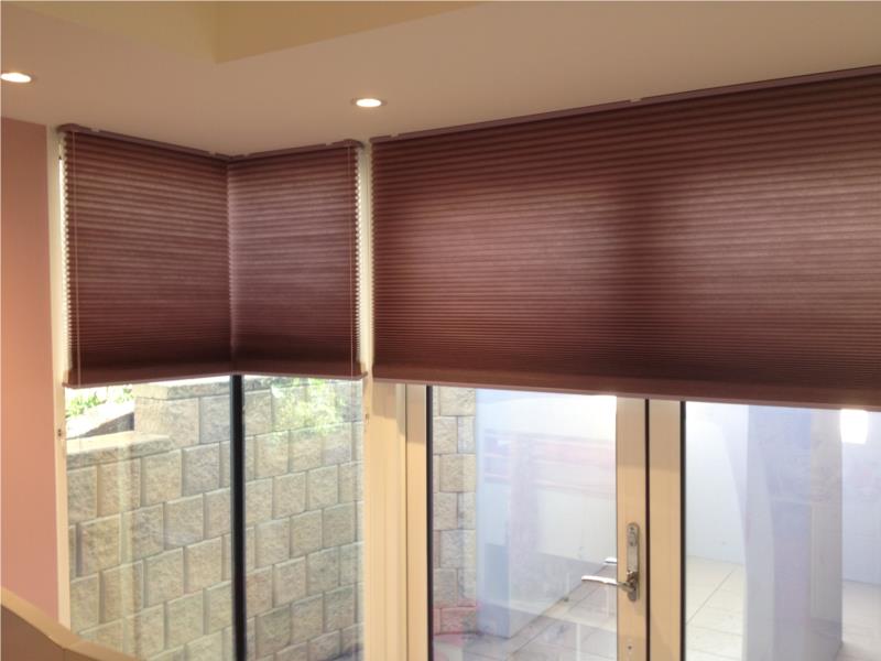 Portrait pink light filter cordlock honeycomb blinds