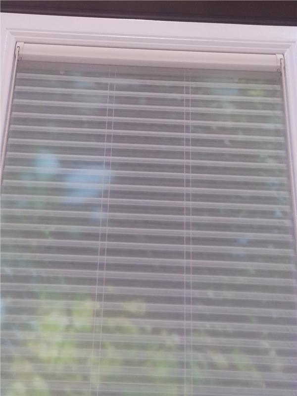 Portrait sheer honeycomb blind