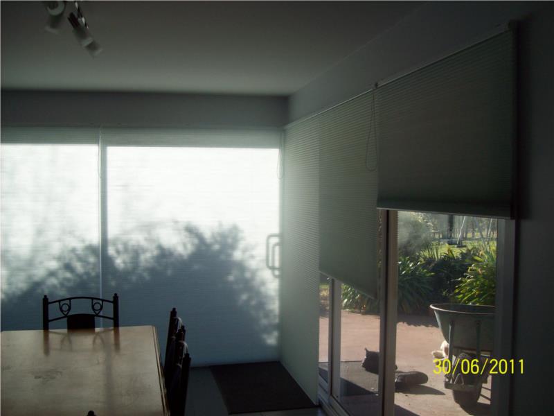 Arena Easyrise continuous looped cord control blind