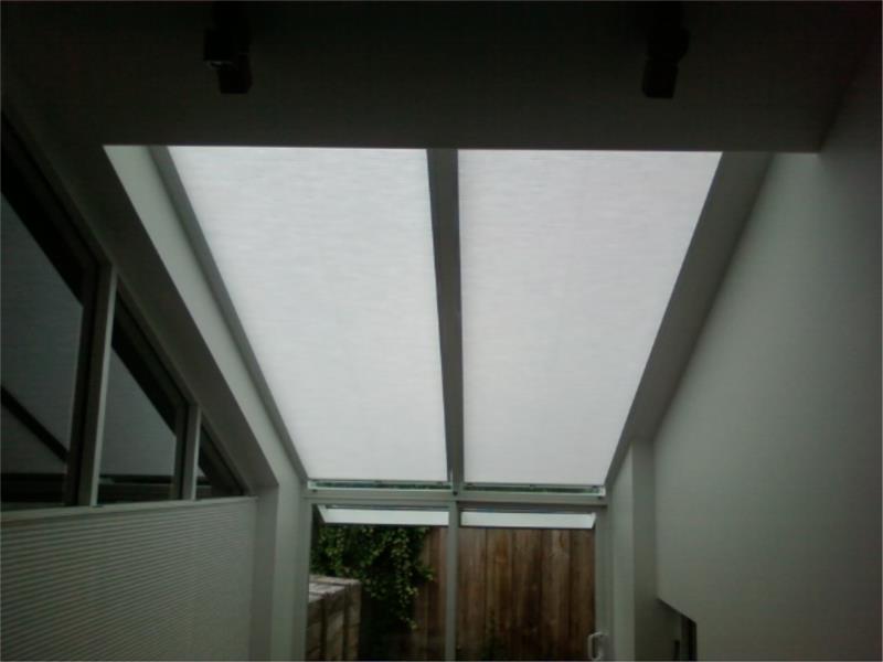 Arena light filtering skylight
