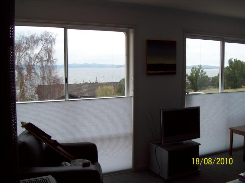 Standard light filtering top down bottom up honeycomb blind